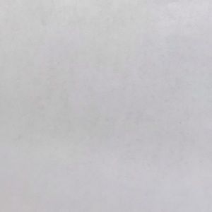 Meet your Posher, Tyshiyah